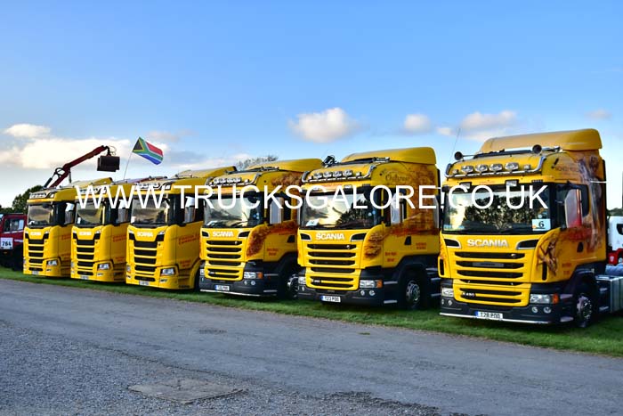 TRIM FLEET 19sm0697