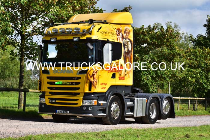 TRIM T28 POO 19sm0144