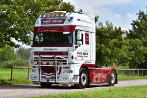 BEVIS 19sm0067