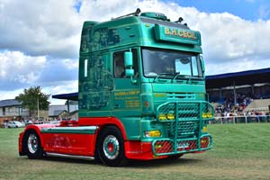 CECIL L600 CEC 19sm0815