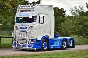 DOYLE 19sm0600