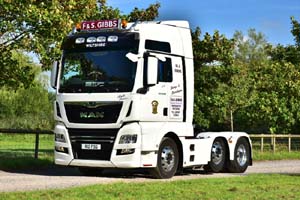 GIBBS R12 FSG 19sm0202