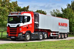 HAYES NH68 NHH 19sm0130
