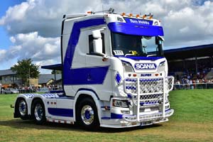 HOBBS Y16 TOM 19sm0828