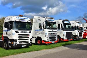 JOYCE FLEET 19sm0680