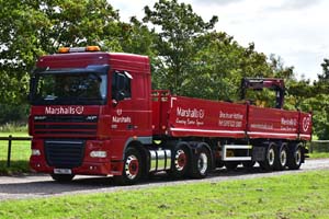 MARSHALLS PN63 DVL 19sm0006