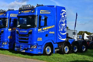 MERRETT Y80 DCM 19sm0674