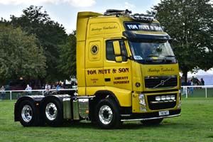 NUTT TN10 NUT 19sm0750