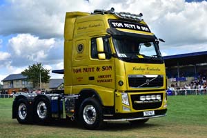 NUTT TN10 NUT 19sm0818