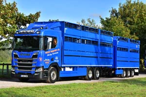 SANDIFORD T555 EWE 19sm0246