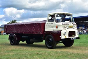 TENENS HRJ 4330 19sm0820
