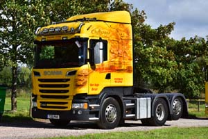 TRIM T23 POO 19sm0142