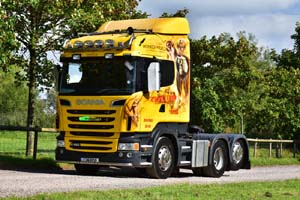 TRIM T28 POO 19sm0144