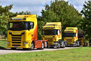 TRIM T29 POO 19sm0147