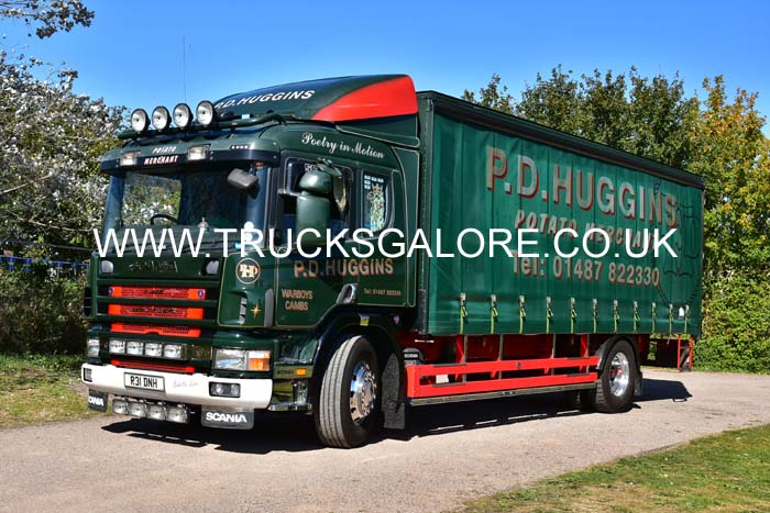 HUGGINS R31 DNH 19sw0251