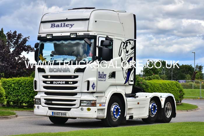 BAILEY BX60 BXH 19tk0039