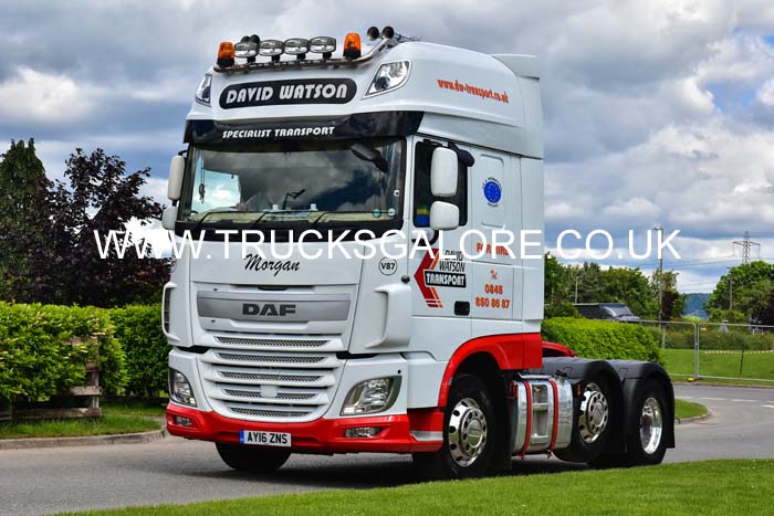 WATSON AY16 ZNS 19tk0029