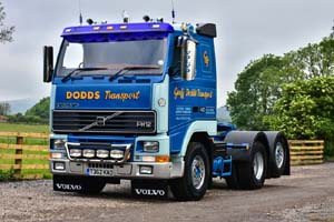 DODDS T362 KAO 19ws0197