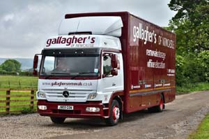 GALLAGHERS J900 GON 19ws0235