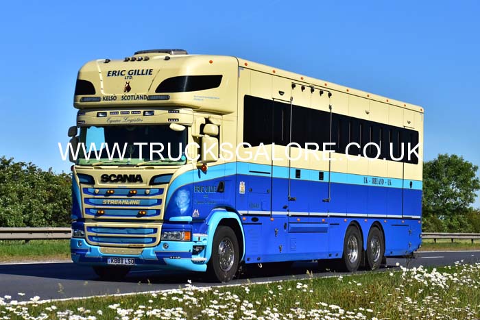 GILLIE K888 LSO 20-0266