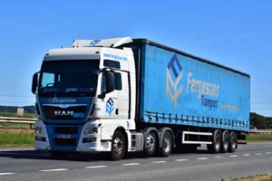 FERGUSONS DK67 VPJ 20-0455