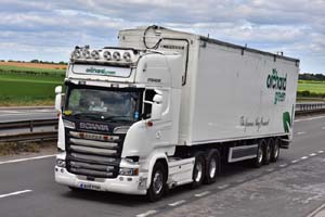 ORCHARD GREEN MX16 FYM 20-0097