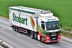 STOBART DK67 WHD 20-0095