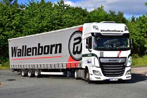 WALLENBORN 6M53481 20-0053