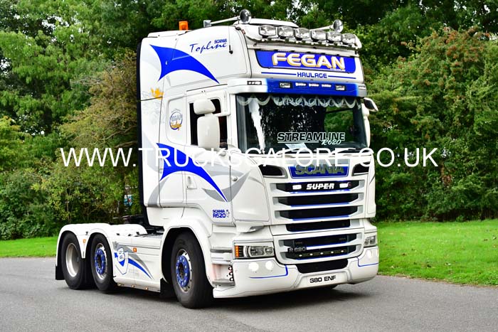 FEGAN S80 ENF 20pb0108