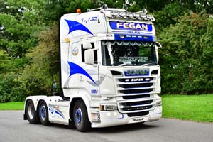 FEGAN S80 ENF 20pb0108