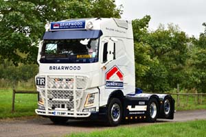 BRIARWOOD F11 BWP 20sm0036