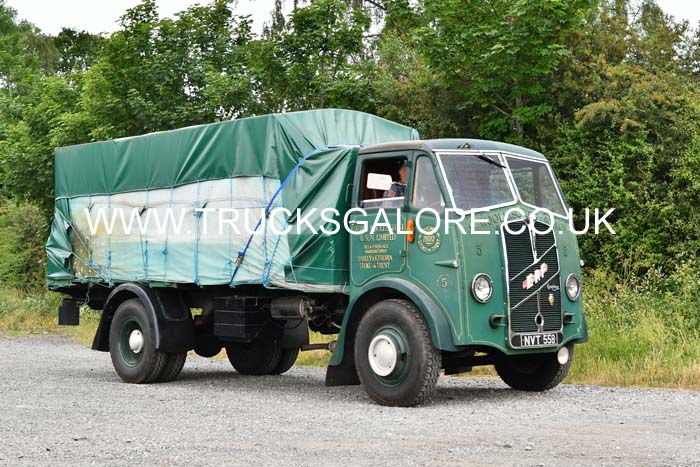 WOOLISCROFT NVT 558 21pt0008