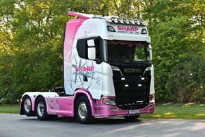 SHARP MV19 UED 22pb1801