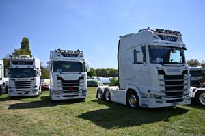 TEALL TT19 TTL 22pb2554