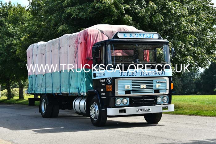TETLEY BR, A701 NNM 24se0057