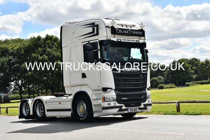 BLISS V88 BHH 24cv0253