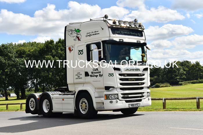 C&R LIVESTOCK V88 HTS 24cv0342