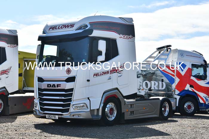 FELLOWS GB21 FEL 24cv0972