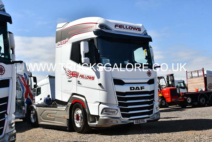 FELLOWS GB21 FEL 24cv0976