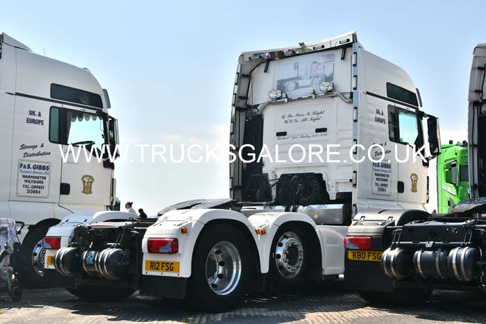 GIBBS R12 FSG 24dv0805