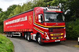 FERGUSON J300 AFT 24ed0093