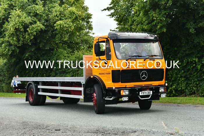 DALE BROS F971 CBD 24ks0655
