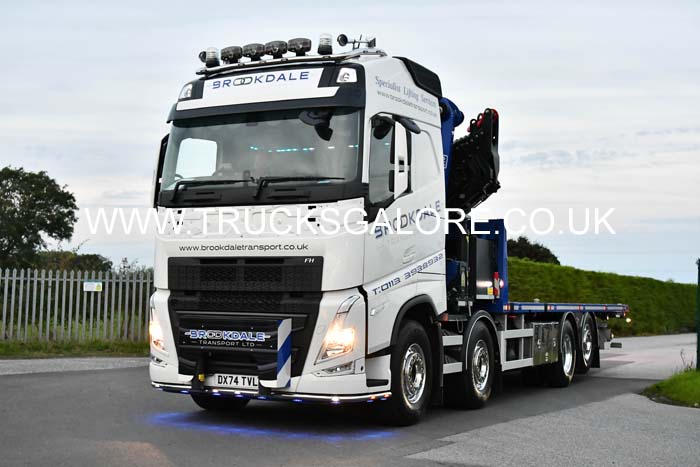 BROOKDALE DX74 TVL 24nk0849