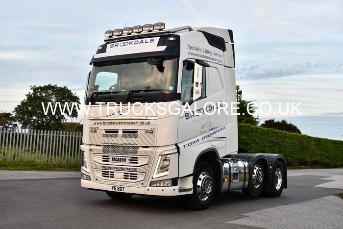 BROOKDALE Y6 BDT 24nk0778