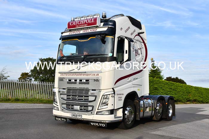 CATCHPOLE GN68 YPD 24nk0518