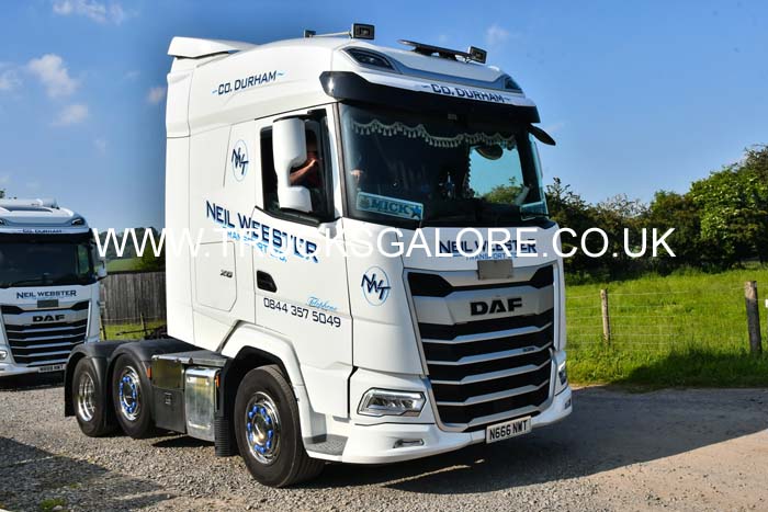 WEBSTER, NEIL N666 NWT 24ws0159
