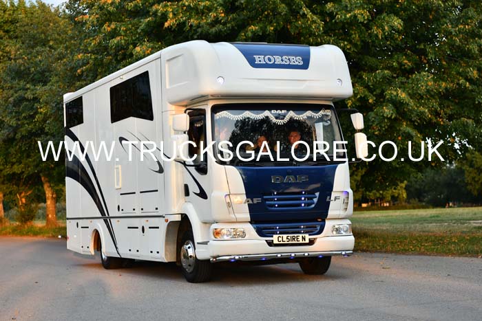 HORSES CL51 REN 25se0423