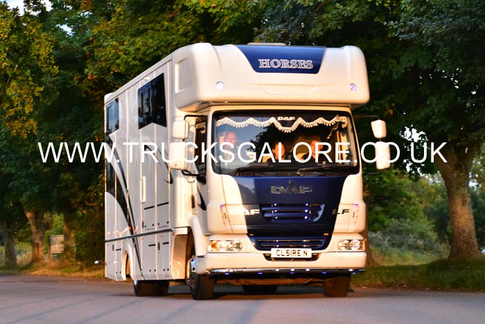 HORSES CL51 REN 25se0663