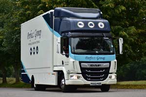 PERFECT GROUP PG02 PER 25se0829