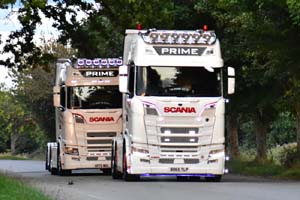 PRIME BO65 TLP 25se0672